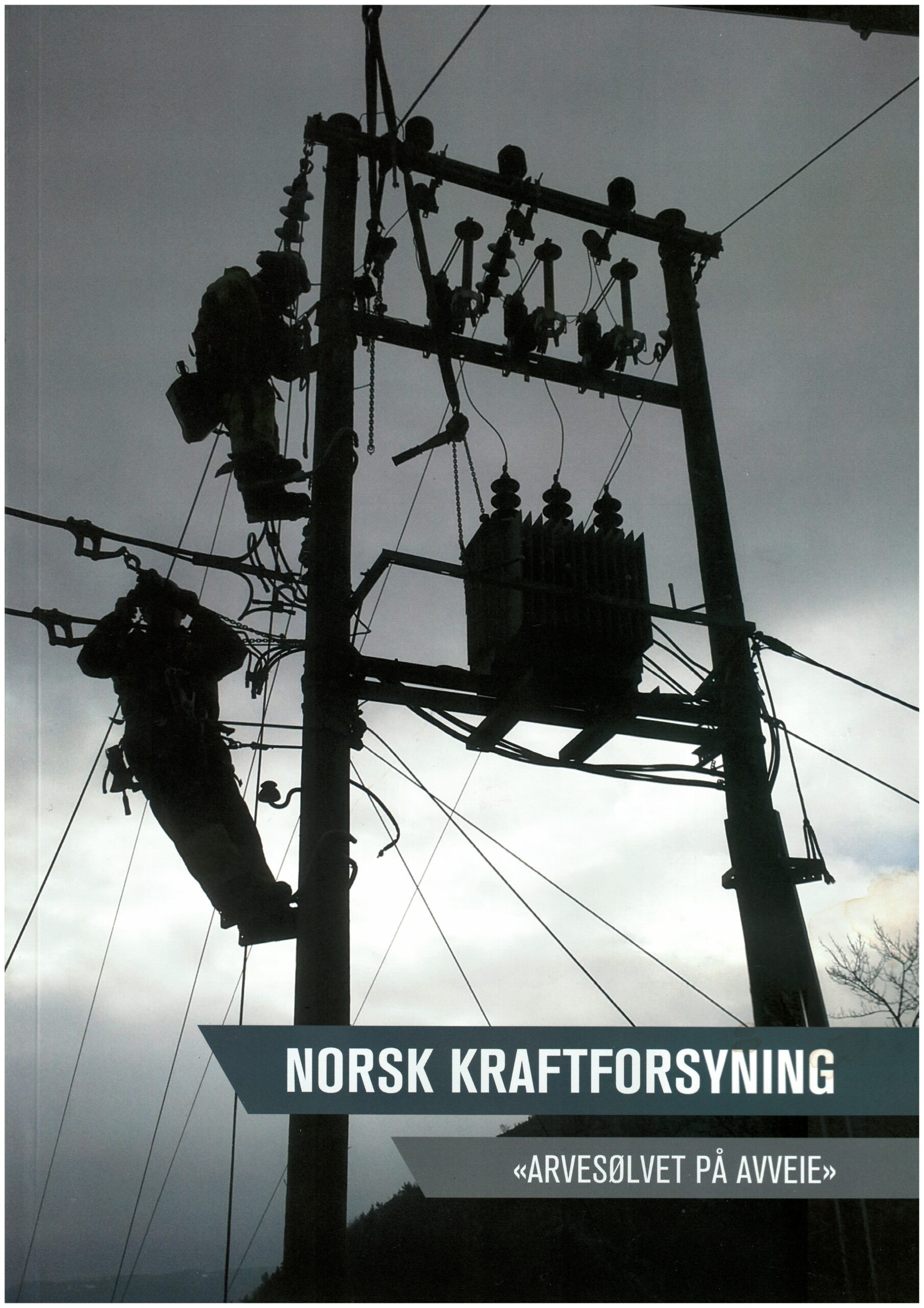 Norge står fritt til å etablere en nasjonal energipolitikk!